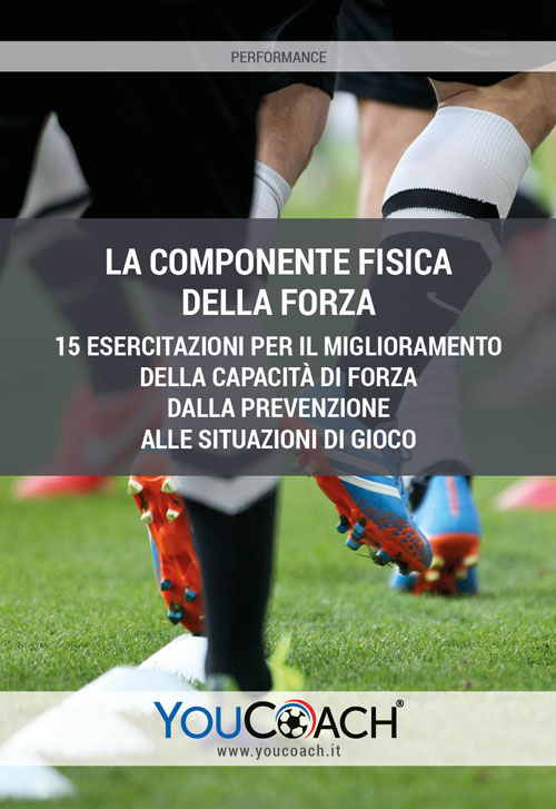 La componente fisica della forza