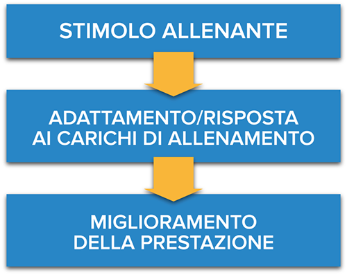 Stimolo allenante training load monitoring Stimolo allenante training load monitoring